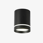 Noir / Chaude / 7W Dimmable