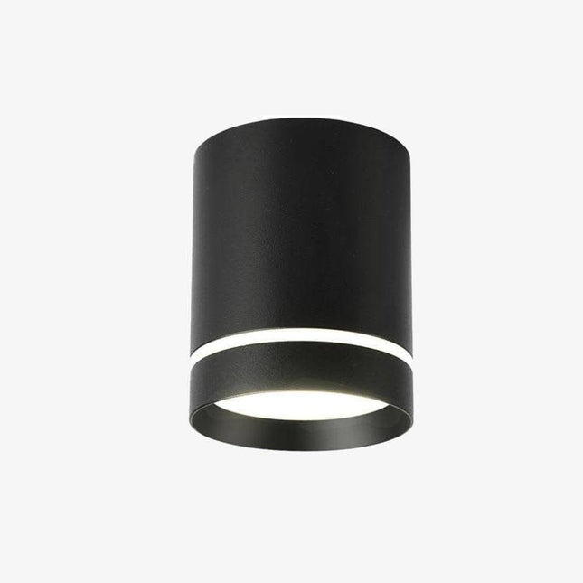 Spot moderne LED cylindre métal coloré Loft