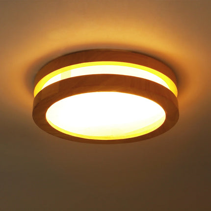 Plafonnier LED moderne en acrylique à fixation murale — LZ4X9T1