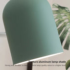Vert / Lumière chaude