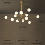 12 têtes / Lumière blanche