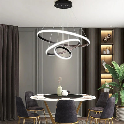 Lustre moderne LED en acrylique avec anneau lumineux — LZ4T9X