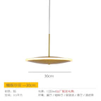 D30cm 1