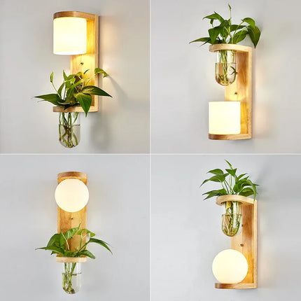 Applique murale nordique en bois avec abat-jour verre et LED plante verte — LZ4X9T1