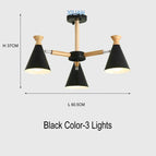 3 lumières noires