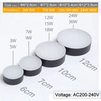 Blanc chaud 3000K / Corps noir / 5W 220V