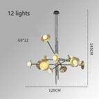 12 lumières