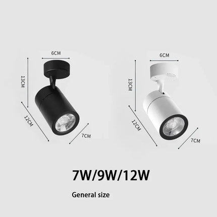 Spot LED dimmable pour éclairage intérieur moderne — LZ4X9T