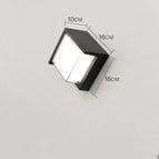 B-lumière froide 12W