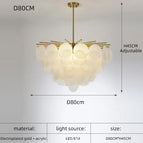 D80CM / Lumière blanche