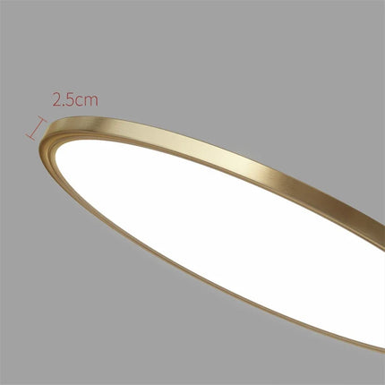 Plafonnier LED rond minimaliste en cuivre pour couloir et allée — LZ4X9T1