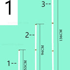 Lisse 1