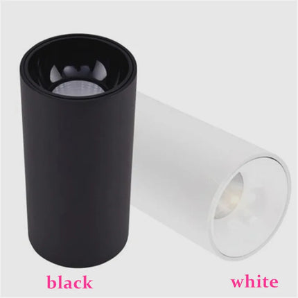 Spot LED COB rond à montage en surface — LZ4X9P