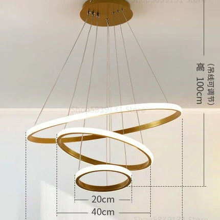 Lustre moderne LED en acrylique avec anneau lumineux — LZ4T9X
