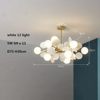 Blanc 12 lumière
