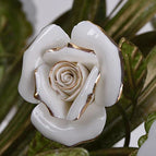 Lumière blanche / 6 lumières contre 1 lumière