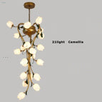 Camélia 21light