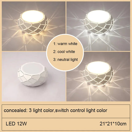 Plafonnier LED moderne avec gradation et trois modes de lumière — LZ4P9XJ