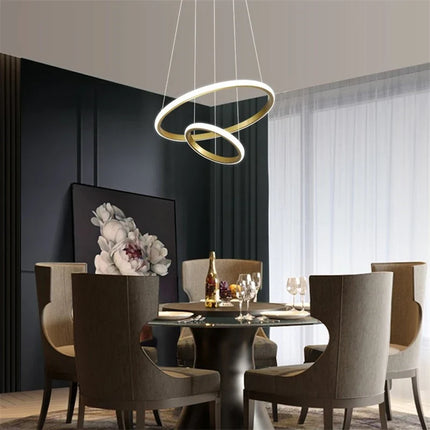 Lustre moderne LED en acrylique avec anneau lumineux — LZ4T9X