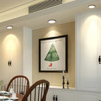 Blanc chaud 3000K / 12W blanc