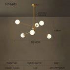 6 têtes / Lumière blanche