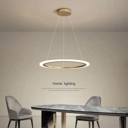 Lustre circulaire LED à anneau unique moderne — LZ4X9P