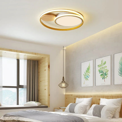 Plafonnier LED nordique créatif avec 2 styles et lumière chaude — LZ4X9T2