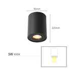 Black5W4000K / CHINA