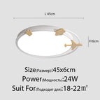 45cm 24W Blanc / Blanc froid, pas de télécommande