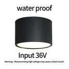 Input 36V 1 / 18W / 4000K | CHINA
