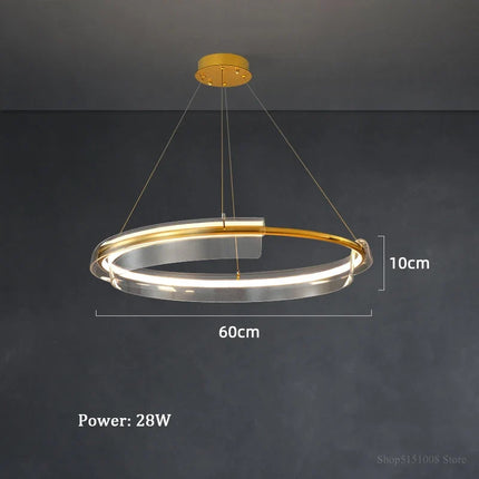 Lustre LED dimmable anneau simple pour maison et hôtel — LZ4T9X