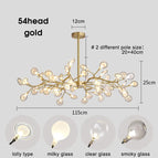 54 têtes d'or / Couverture transparente / Blanc froid