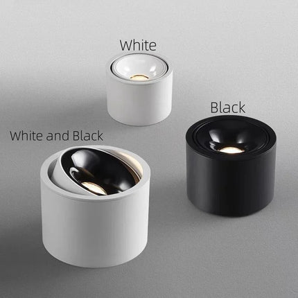 Plafonnier LED rond à intensité variable monté en surface — LZ4X9P2