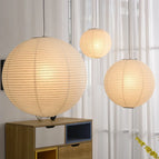 D50 30cm / Lumière 3 couleurs