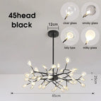 45 têtes noires / Couverture transparente / Blanc froid