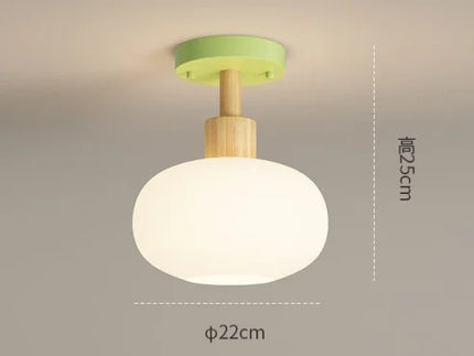 Plafonnier LED moderne au design romantique pour intérieur — LZ4X9Q2