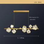 D 6lumière / Lumière blanche