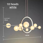 10 têtes blanches / Lumière blanche