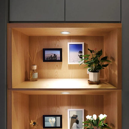 Spot LED mini encastré intérieur avec pilote intégré — LZ4X9P