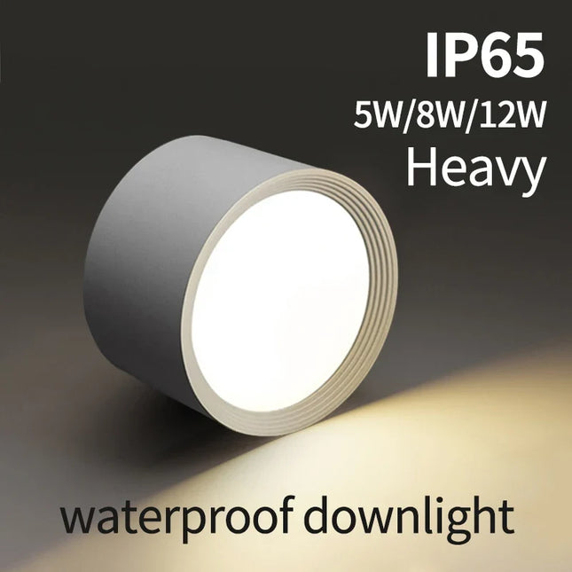 Plafonnier LED étanche haute luminosité pour extérieur — LZ4X9J