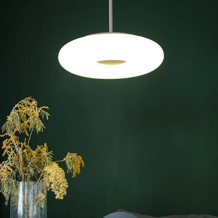 Lustre circulaire LED pour intérieur minimaliste moderne — LZ4P9XJ