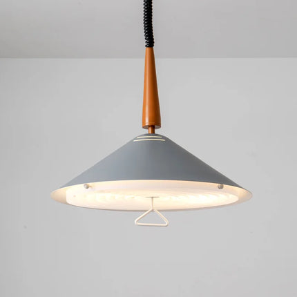 Suspension LED anneau design nordique moderne pour intérieur — LZ4D7QJ