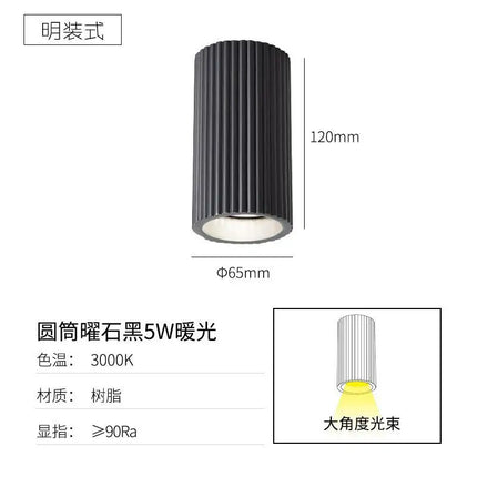 Plafonnier LED moderne pour intérieur et extérieur — LZ4D9X2