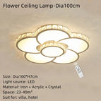 Dia100cm / Lumière variable