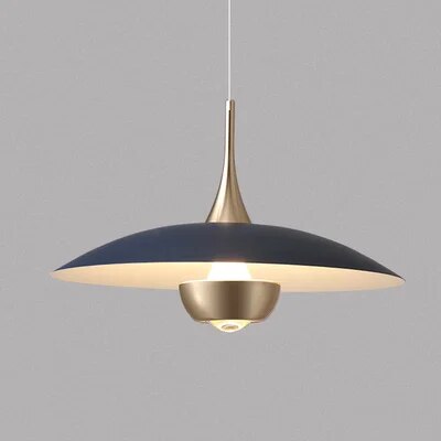 Suspension à poulie design original — LZ4X9P