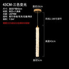 1 lampe H43cm / Changeable