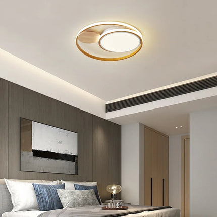 Plafonnier LED nordique créatif avec 2 styles et lumière chaude — LZ4X9T2