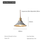 20cm argent / LED 12W (Max100W)