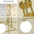 Tête Gold-6 / Lumière neutre 4000K