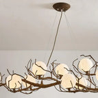 9 heads / Nuetral light